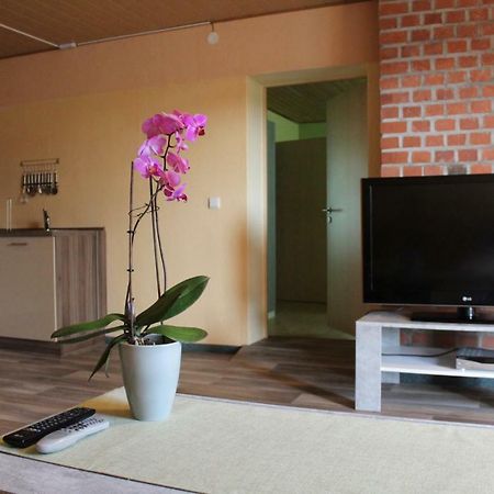 Ferienwohnung im Grünen Diesbar-Seusslitz Exterior foto